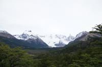 Blick auf den Torre-Gletscher 