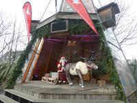 Jacobs Weihnachtsbaum Erlebniswelt