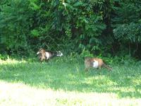 Indianer-Hoehle (17)