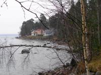 Weihnachten in Estland - Strand bei Käsmu