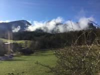 ...noch ist es grün