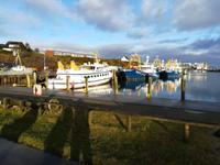 Muschelfischer im Hafen.