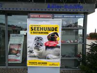 Zum Seehundeschauen...