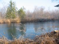 Neujahrsspaziergang, Innauen