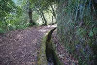 Levada Wanderung Balcoes (2)