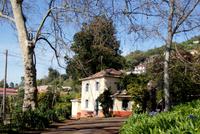 Palheiro Garden (13)