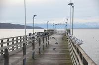Starnberg