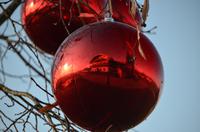 Gut Aiderbichl im Advent