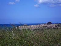 Selinunte - Akropolis