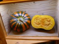 Genussregal - steirischer Ölkürbis