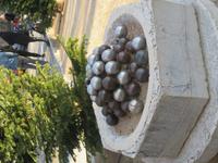 Boule-Platz in Saint Paul