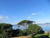 Blick von der Zitadelle von Saint-Tropez