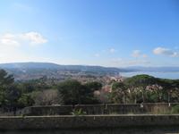 Blick auf den alten Fischerort Saint-Tropez