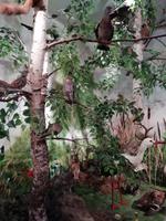 Im Heimatmuseum Traiskirchen