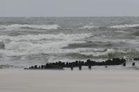 Stürmische Ostsee