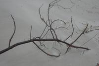 Am Strand der polnischen Ostsee