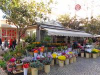 Silvesterreise Sevilla - Cádiz, Blumenmarkt 
