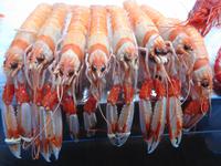 Silvesterreise Sevilla - Cádiz, Fischmarkt