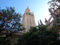 Silvesterreise Sevilla - Sevilla, Giralda 