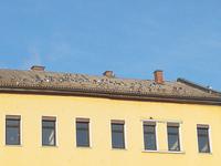 2 Tag Die Tauben von Passau