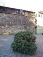 Deggendorf_Stadtmauerrest