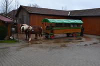 Pferdekutschfahrt und Brettljause beim Michlbauern