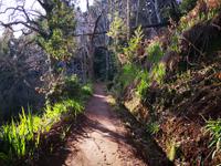 Levada Wanderung Madeira