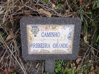 Levada Wanderung Madeira