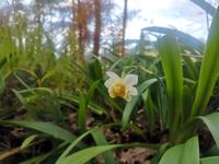 Levada Wanderung Madeira
