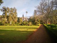 Blandy's Garten Funchal Madeira
