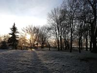 winterliche Landschft, Schloss Diedersdorf (1)