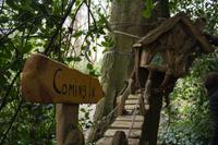 Malahide Castle, Gärten