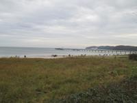 Seebrücke Binz