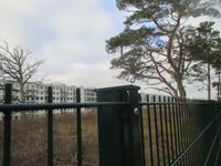 Prora