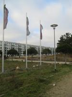 Prora