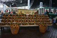 Sao Miguel - Stadtführung Ponta Delgada (6)