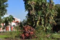 Sao Miguel - Ponta Delgada - botanischer Garten (3)