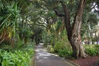Sao Miguel - Ponta Delgada - botanischer Garten (20)
