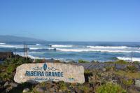 Sao Miguel - Ananasplantage (5)