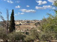 Ölberg Jerusalem