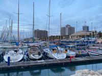 Strand von Tel Aviv - Hafen