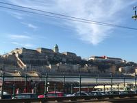 Neujahrsmorgen, entspannt an der Donau