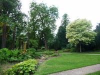 West Dean Gardens