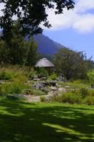 Kirstenbosch - Botanischer Garten