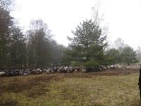  in der Lüneburger Heide