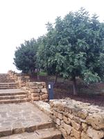 Haus des Dionysos (1)