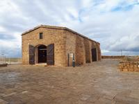 Haus des Dionysos (3)