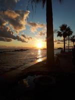 Sonnenuntergang Paphos (2)