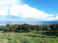 Spaziergang entlang der Küste - Akamas (7)