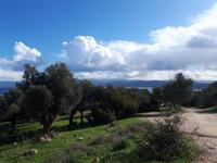 Spaziergang entlang der Küste - Akamas (8)